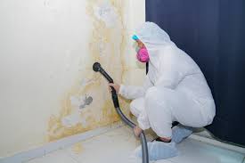 Best Emergency Mold Remediation  in Ovilla, TX